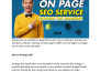 do complete on page SEO optimization service for wordpress website using yoast